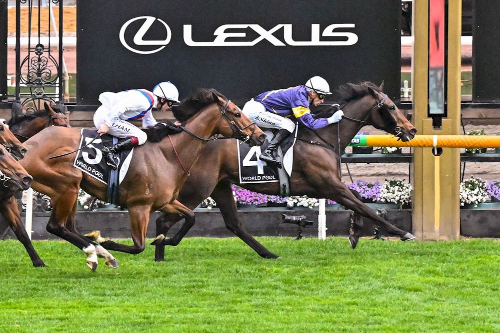 In The Lab: 2025 Sir Rupert Clarke Stakes post image