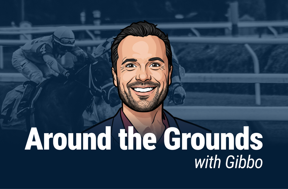 Around The Grounds: Gibbo sets his sights on Morphettville post image