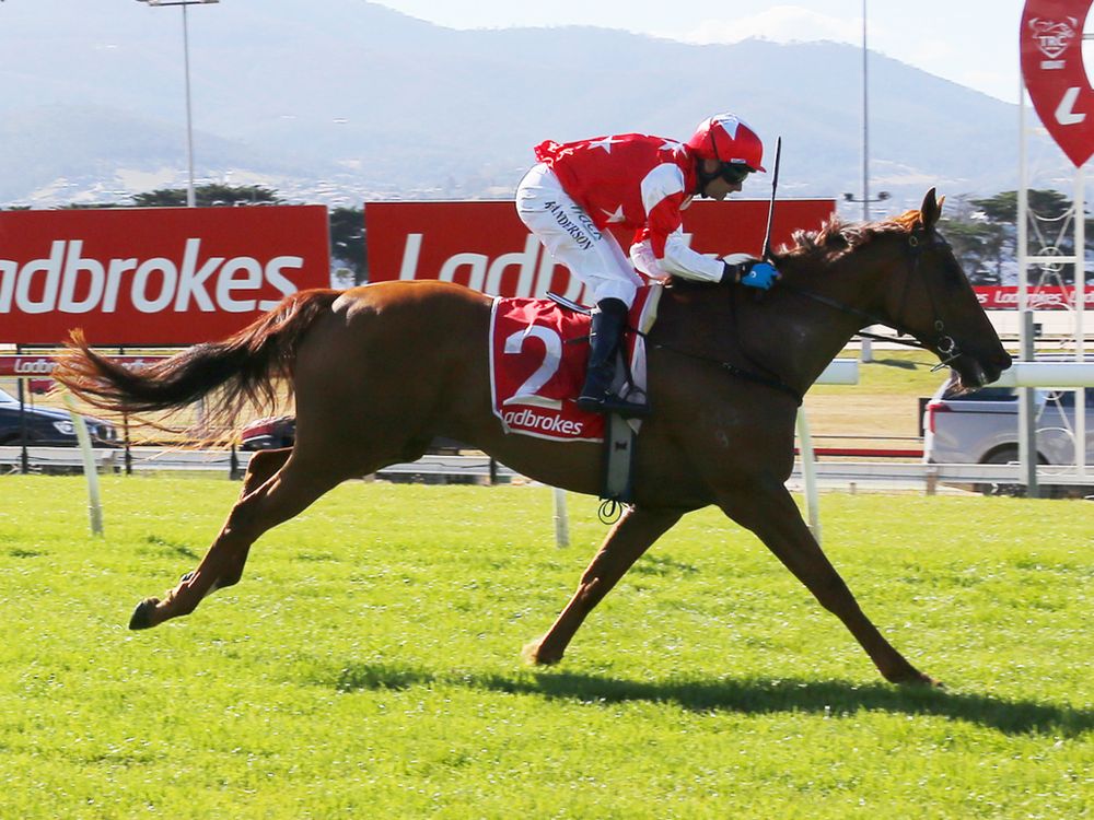 Weight drop fuels Asva’s Hobart Cup push post image