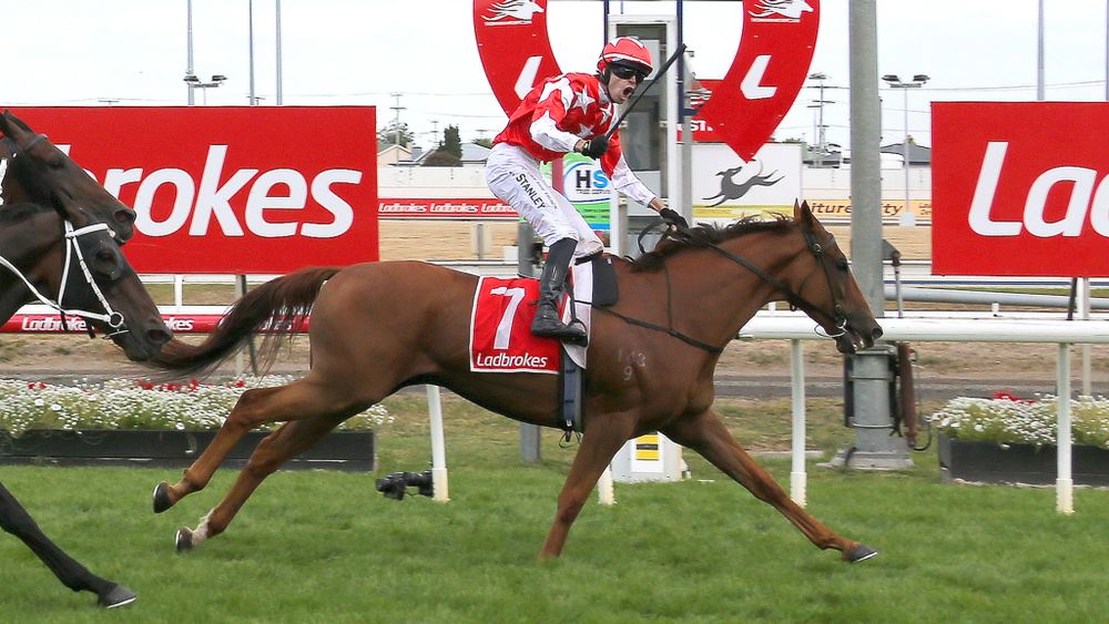 Asva shocks Launceston Cup field, ignites Melbourne Cup dream post image