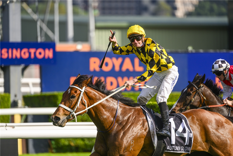 World Pool under the microscope: Shaun Beirne on take-out, rebates and reality post image