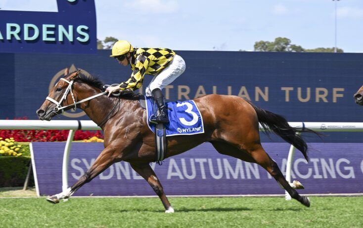 Barrier drama: Waller trials impress, McEvoy injured post image