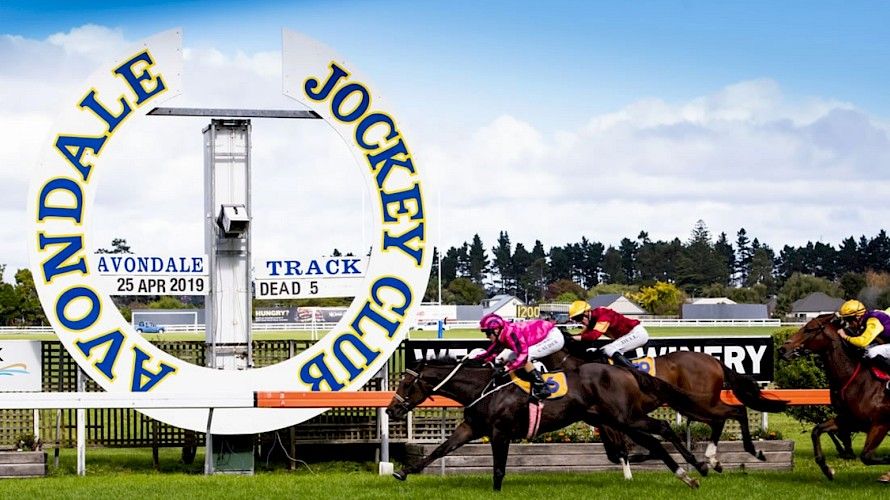 NZ Trial Watch pinpoints several coming winners from the Avondale trials post image