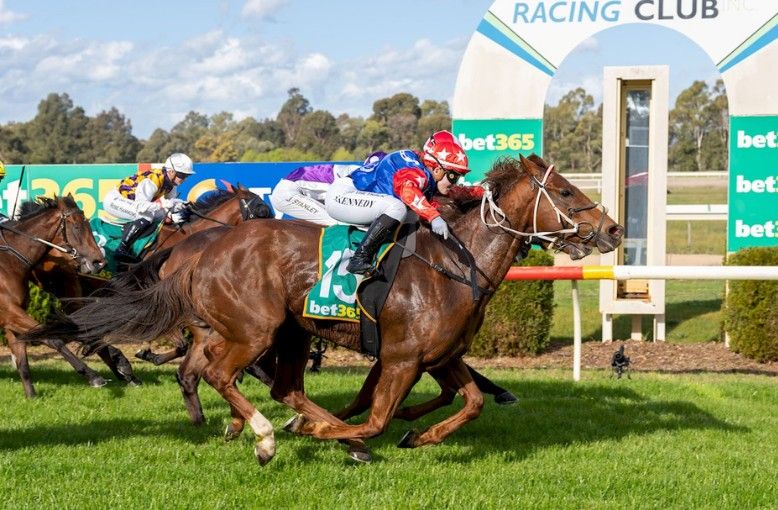 $101 pop floors Tatura punters post image