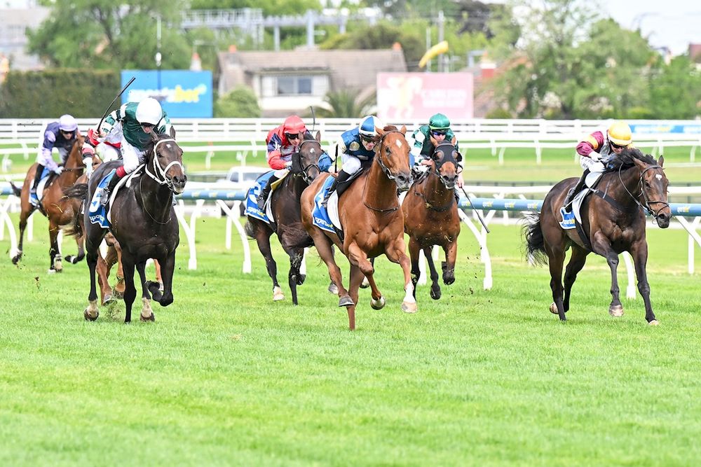 Beaten jockeys: C.F. Orr Stakes post image
