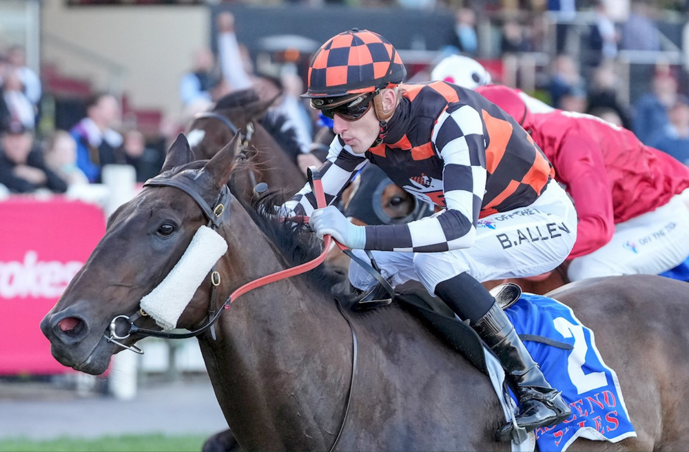 In The Lab: 2026 Black Caviar Lightning post image