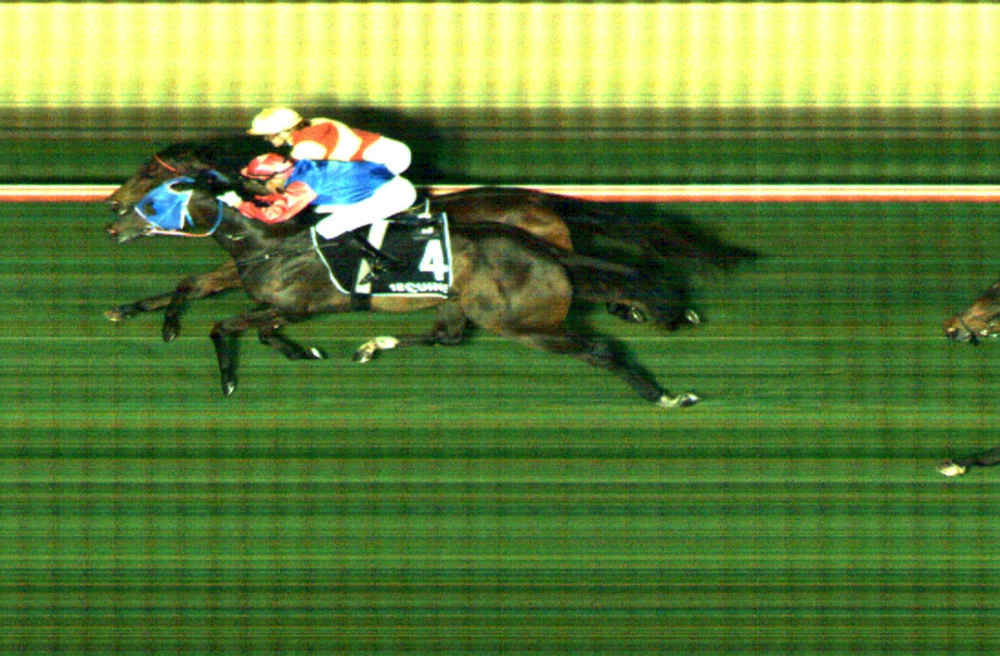 Bubba’s 800th came down to a nose, a photo finish and a bit of drama post image
