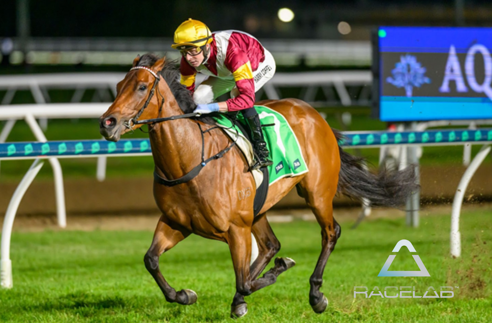 In The Lab: 2025 Moir Stakes post image