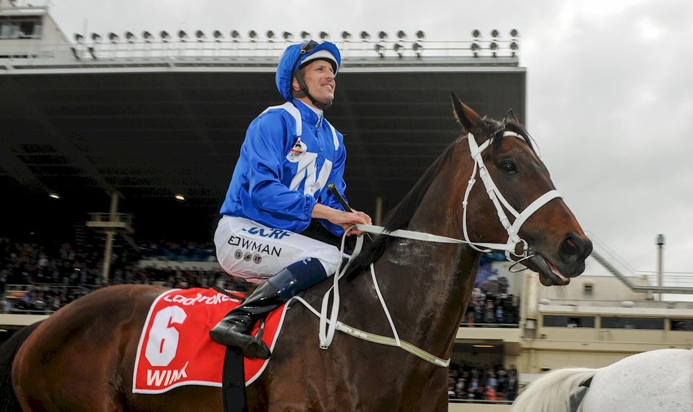 $10 mil Winx filly retired without making it to the races post image