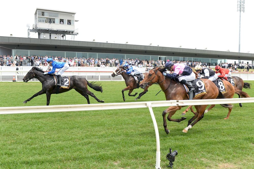 Coleman reckons their $15 Geelong Diamond runner is over the odds post image