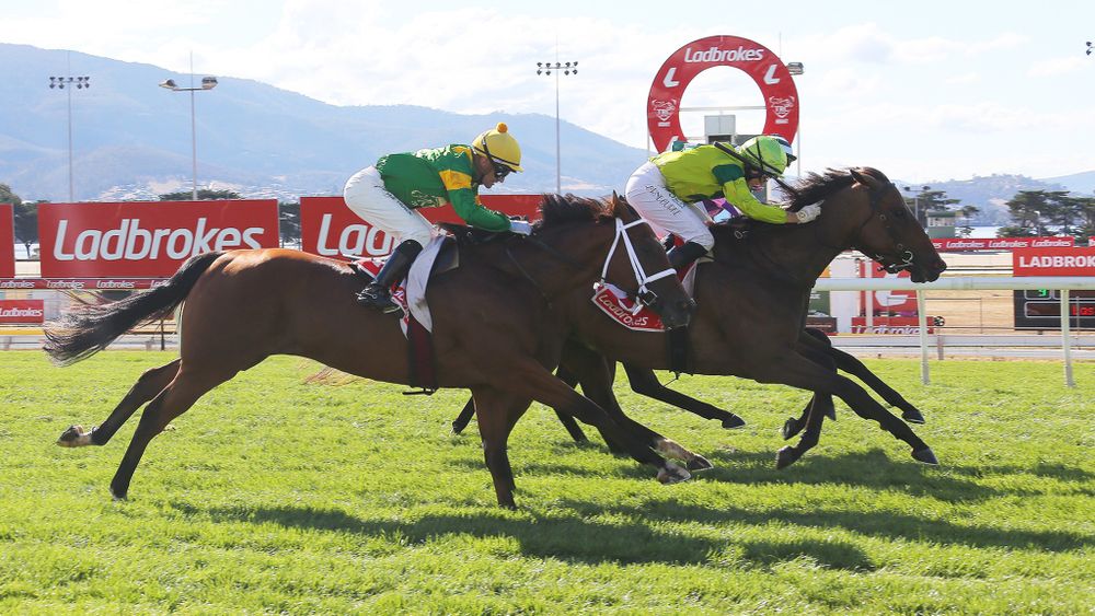 Hobart Cup run short after barrier placement error post image