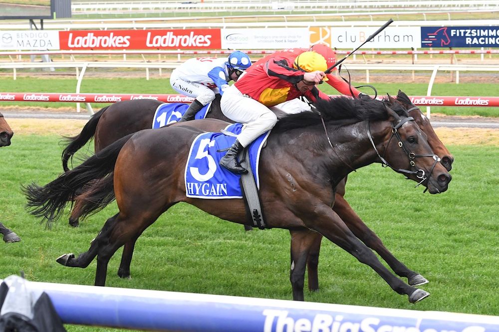 Ka Ying Rising to Romantic Encounter: Hayes back kiwi formula post image