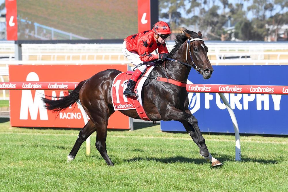 Dean Yendall Eyes $4m Kiwi Glory with Asakura in New Zealand Raid post image