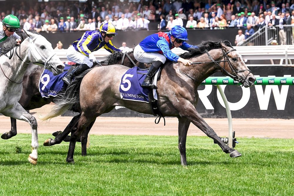 From greys to glory: Getafix ready to fire post image
