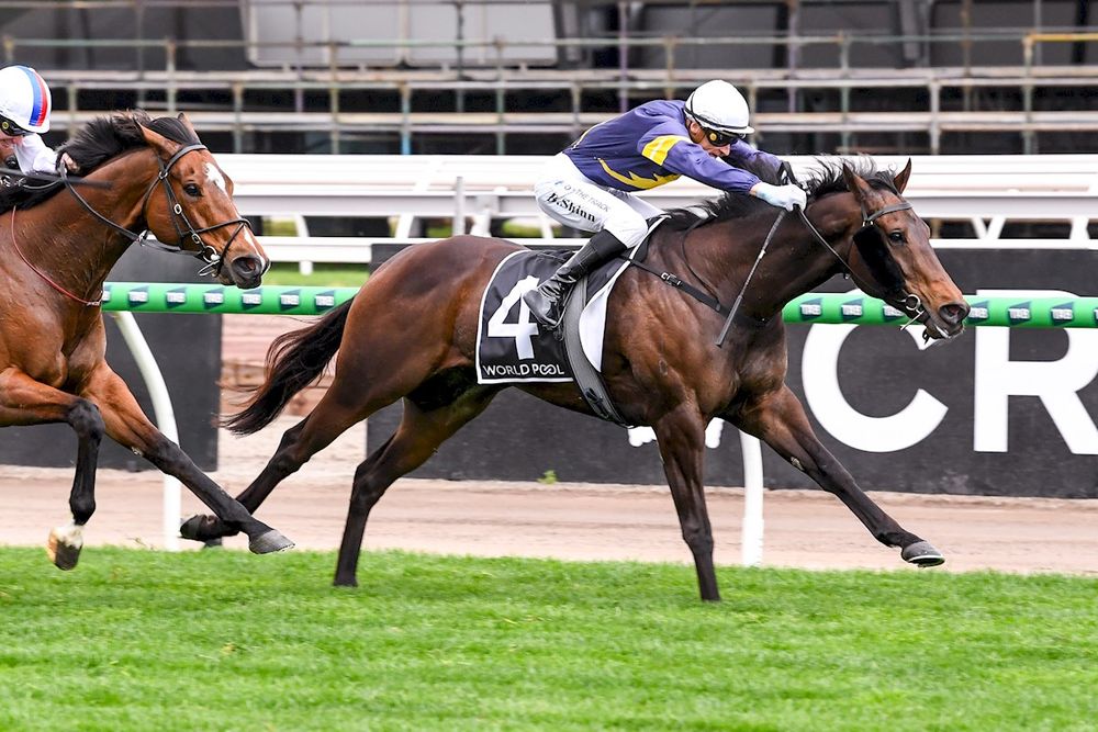 62kg test for Arkansaw Kid as Hayes eyes Adelaide return post image