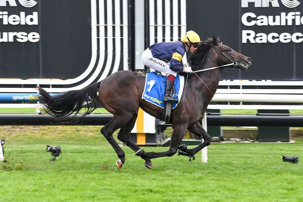 'His action is not what it should be': Blue Diamond favourite Big Sky scratched after knee scare post image