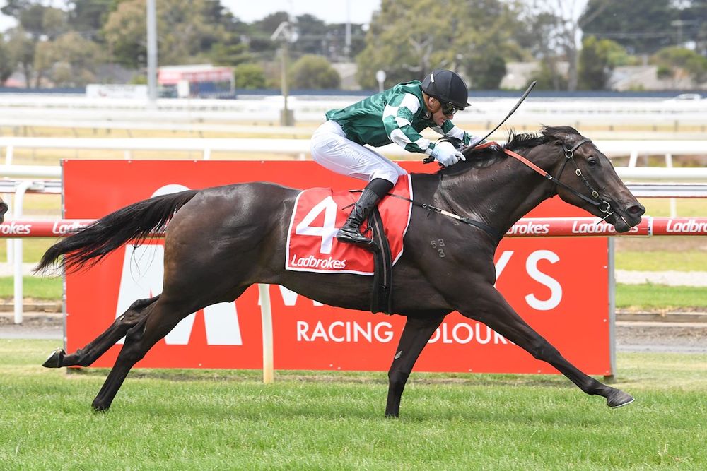 McEvoys confirm Diamond path for filly post image