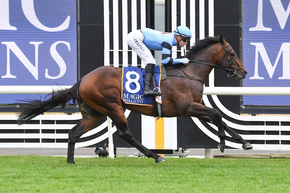 Unit Five stamps Magic Millions credentials with emotional win post image