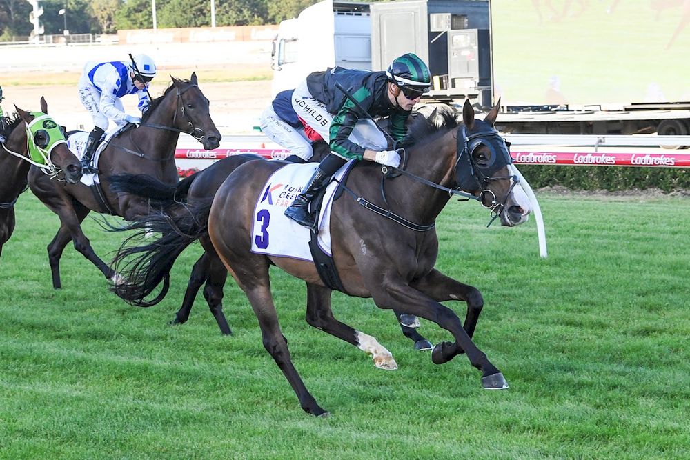 Urban Outlook ready to fire in Adelaide Cup despite wide draw post image