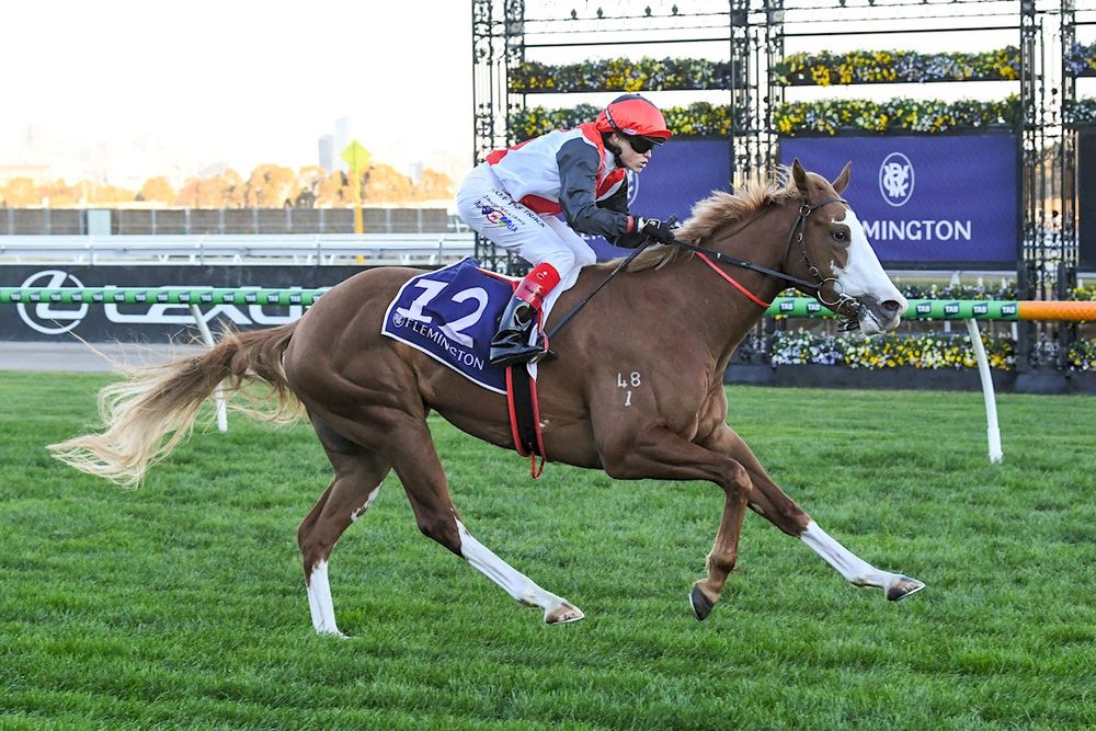 Money Matters: Latest betting moves and news post image