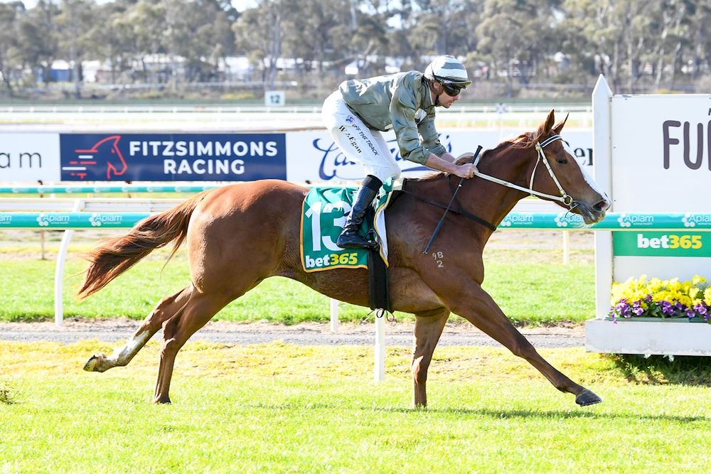 Inspired by Carberry, Oliver’s filly takes million-dollar swing post image