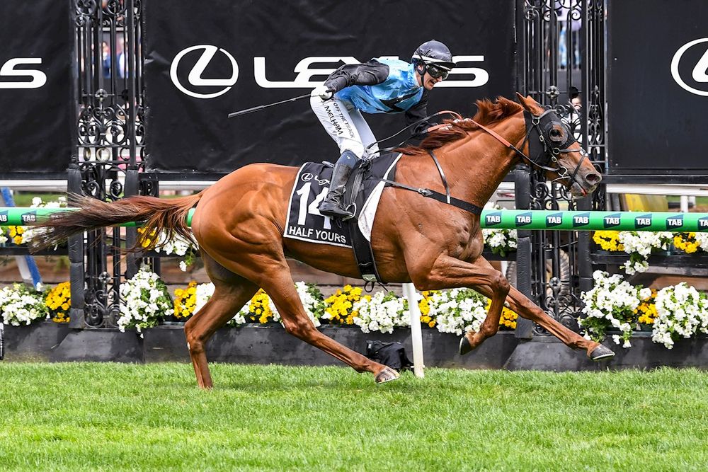 Melbourne Cup beaten jockeys post image