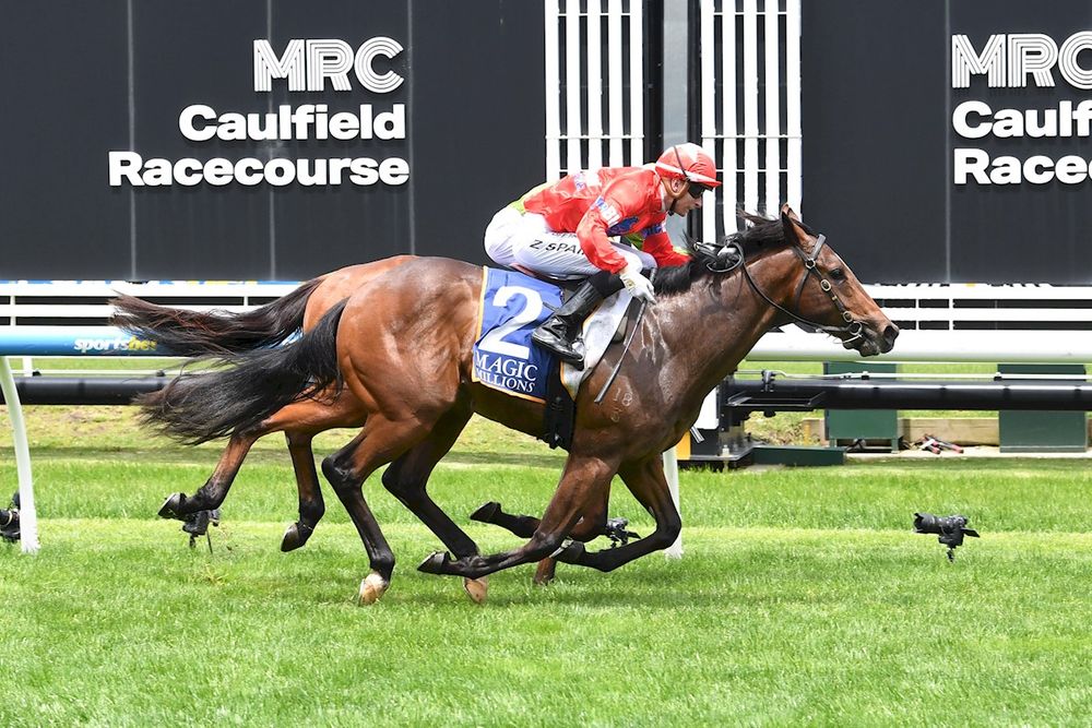 Golden Slipper blow: Star colt Eternal Warrior ruled out after ‘shattering’ injury post image