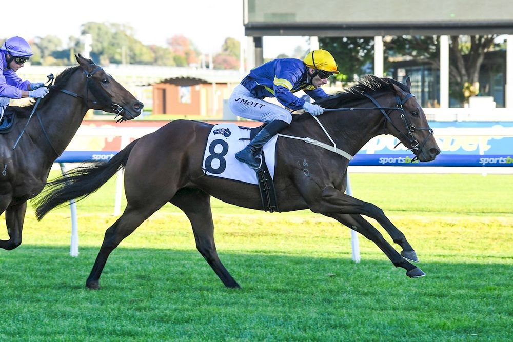 In The Lab: Racelab Ratings reveal the key chances in the 2026 Newmarket Handicap post image