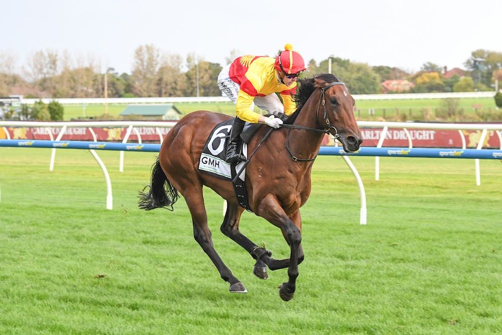 Caulfield Buy, Hold, Sell: Key SA Carnival clues emerge from off-season meeting post image