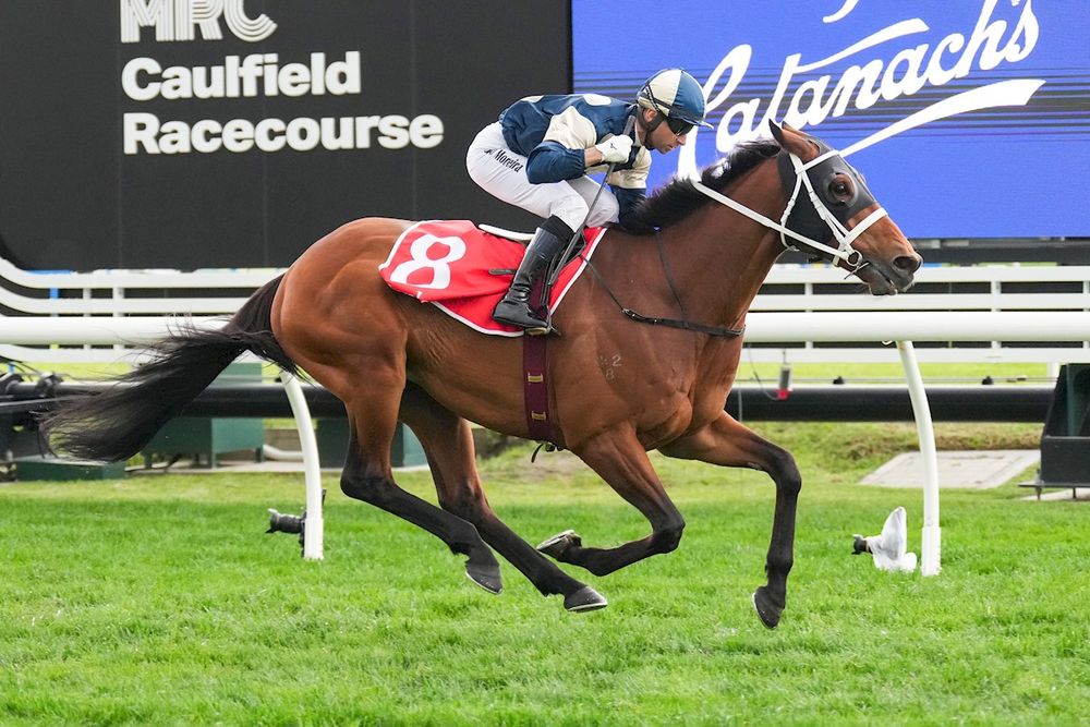 VRC confident of star-studded All-Star Mile post image