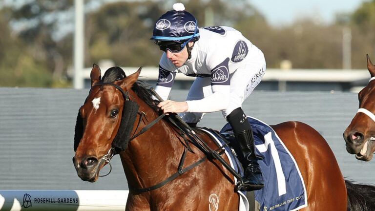 Mad Monday: Rosehill review post image