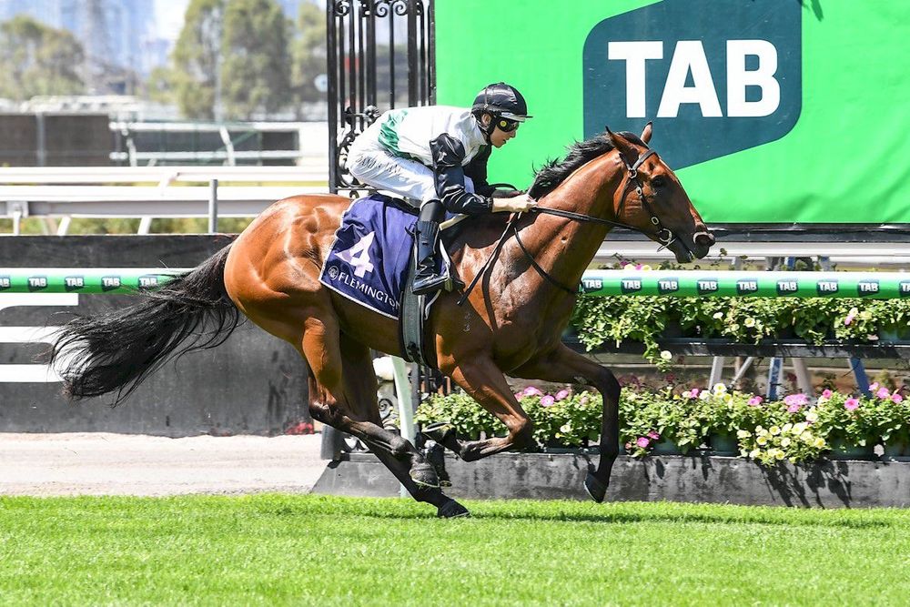 Back Him Up? Hard Kick’s Talindert statement puts Blue Diamond in play post image
