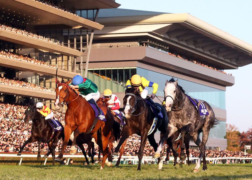 Calandagan superb in track record Japan Cup win post image