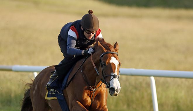 Star to miss Cox Plate post image