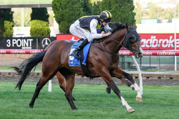 Betsy's Set: Morphettville Saturday post image