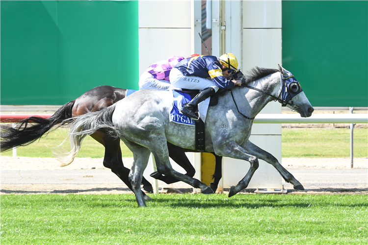 Betsy's Set: Eagle Farm post image
