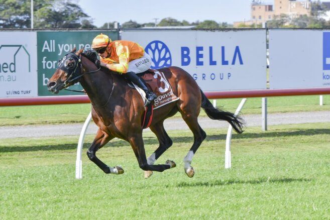 In The Lab: 2025 Spring Champion Stakes post image