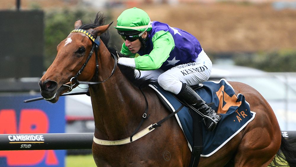 NZ Trial Watcher: Best Bets & Preview | Matamata Saturday post image
