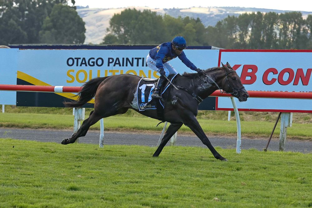Former Australia-based Kiwi trainer Joseph Waldron strikes Group 3 success at Wingatui post image
