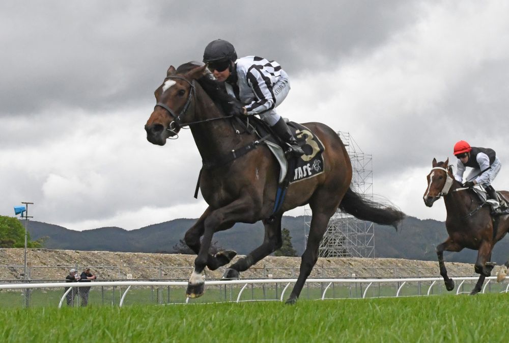 Te Rapa Tips Today: NZ Trial Watcher best bets and preview post image