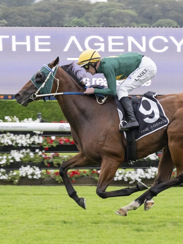 Doncaster Mile Runner-by-Runner: Watling breaks down the key chances post image