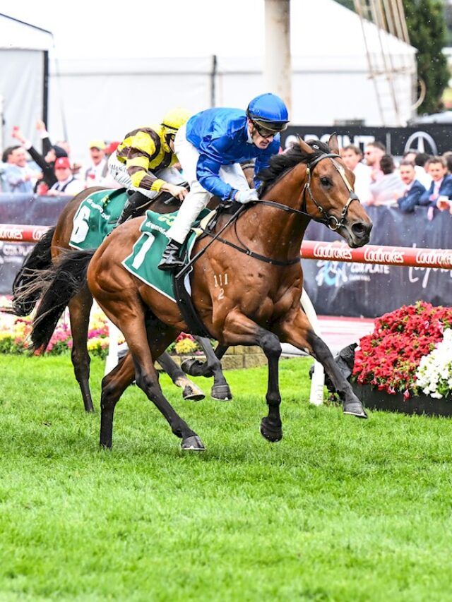 In The Lab: Racelab unpack the 2026 Australian Guineas at Flemington post image