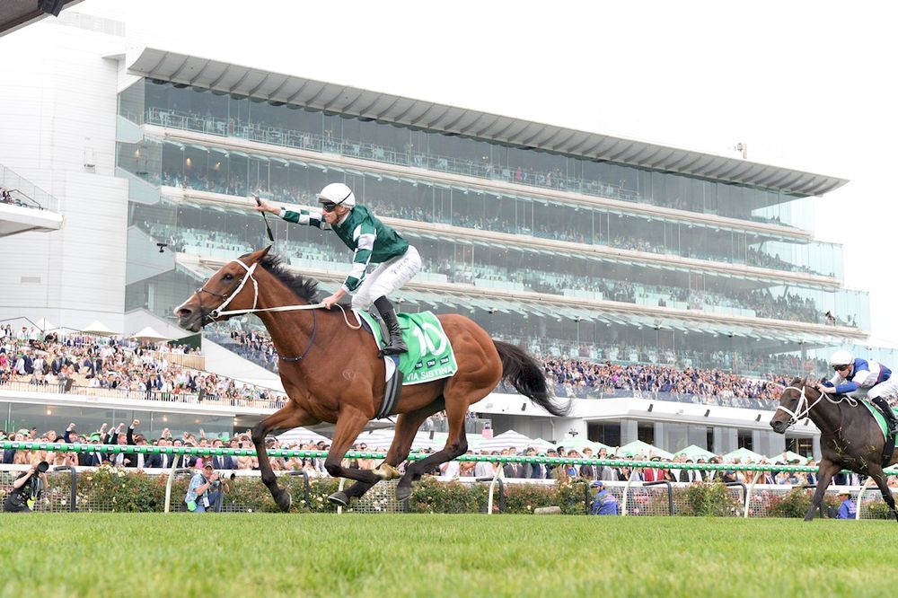 Trav's Cox Plate runner-by-runner guide post image