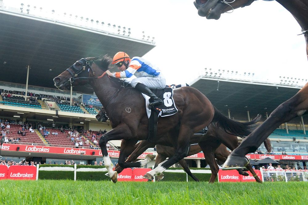 McEvoy reflects on Blue Diamond call as Veight returns in Futurity Stakes post image