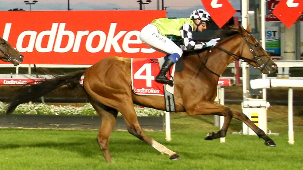 Race caller has favourite in Magic Millions Tasmanian Derby post image