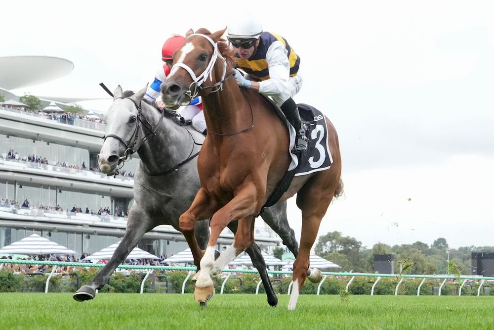 In The Lab: 2025 Caulfield Cup post image