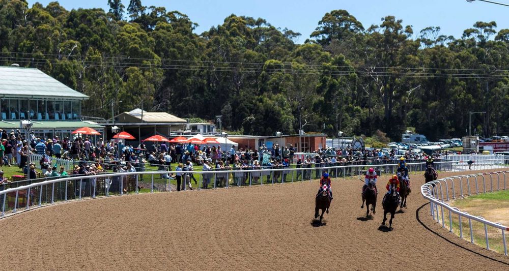 Steve Christie’s Devonport Tips: In-form analyst targets Public Holiday winners post image