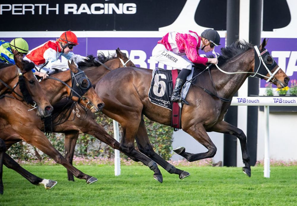 In The Lab: 2025 Railway Stakes post image