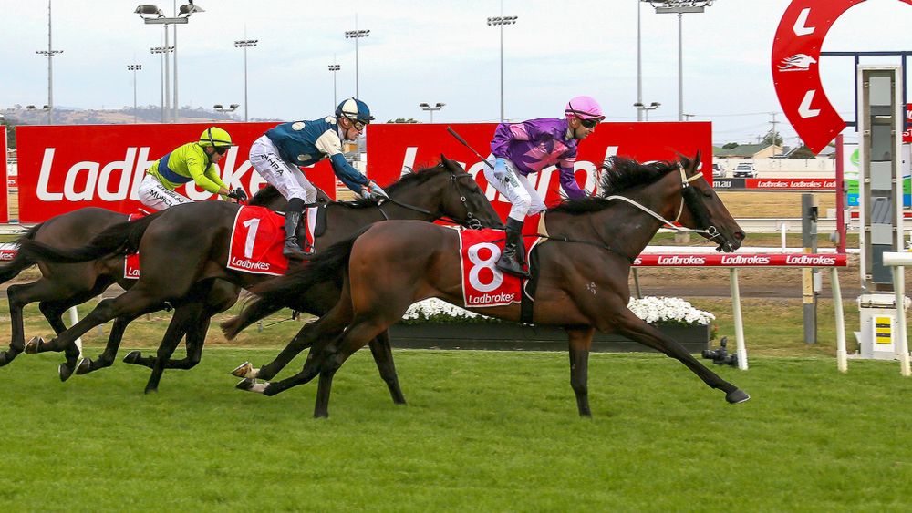 ‘It was a freak accident’: Anthony Darmanin targets return post image