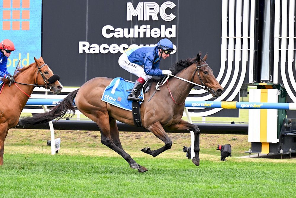 Price declares mare as G1 worthy post image
